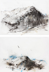 Geography VI oued (diptych) (2003) -