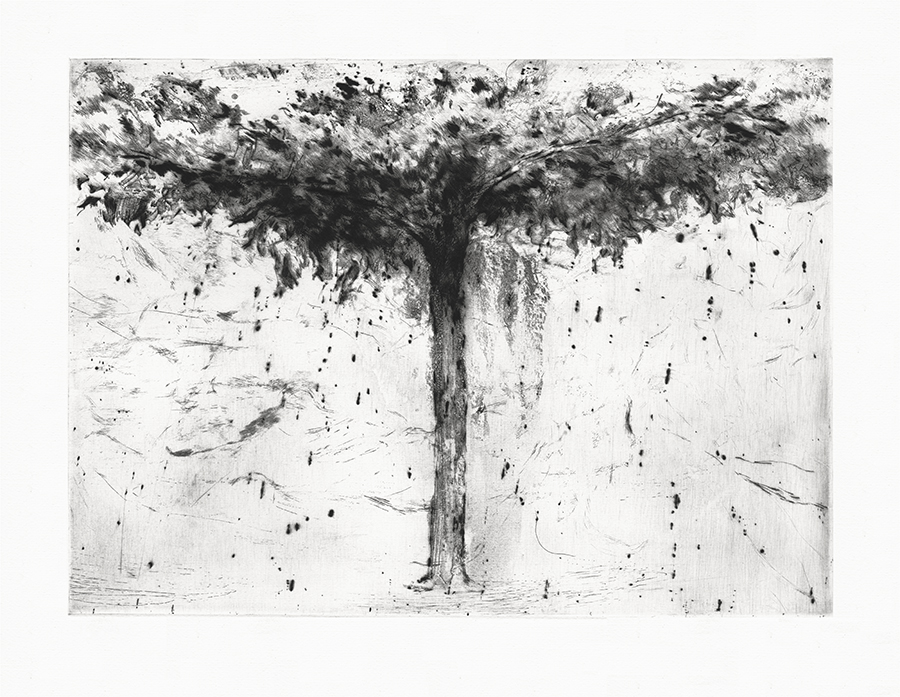 Under the Tree I / Sous l'arbre I / Abajo el árbol I (2000)