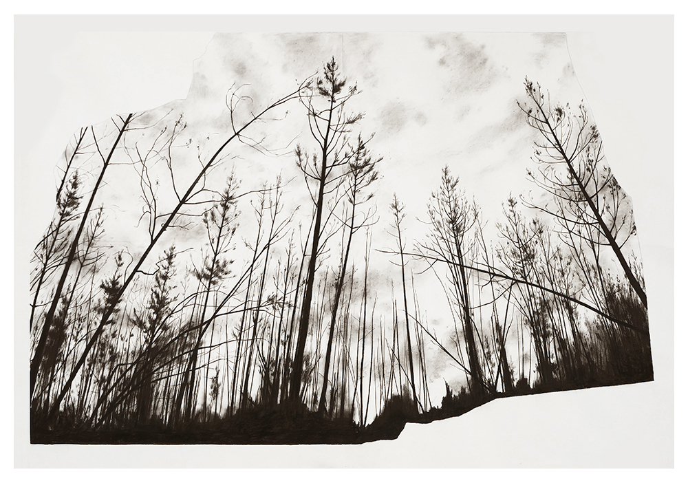 Après le feu I  (2023) 