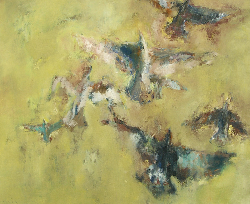 Géographie VI - les oiseaux (2004)