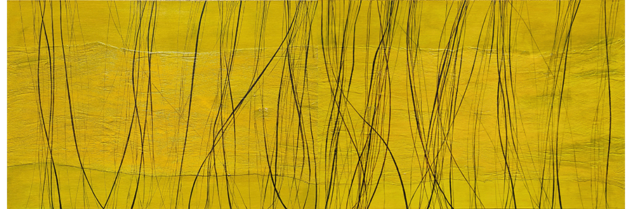 Life LInes XVI (2010)