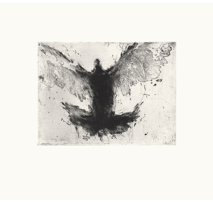 Paloma III (2007)