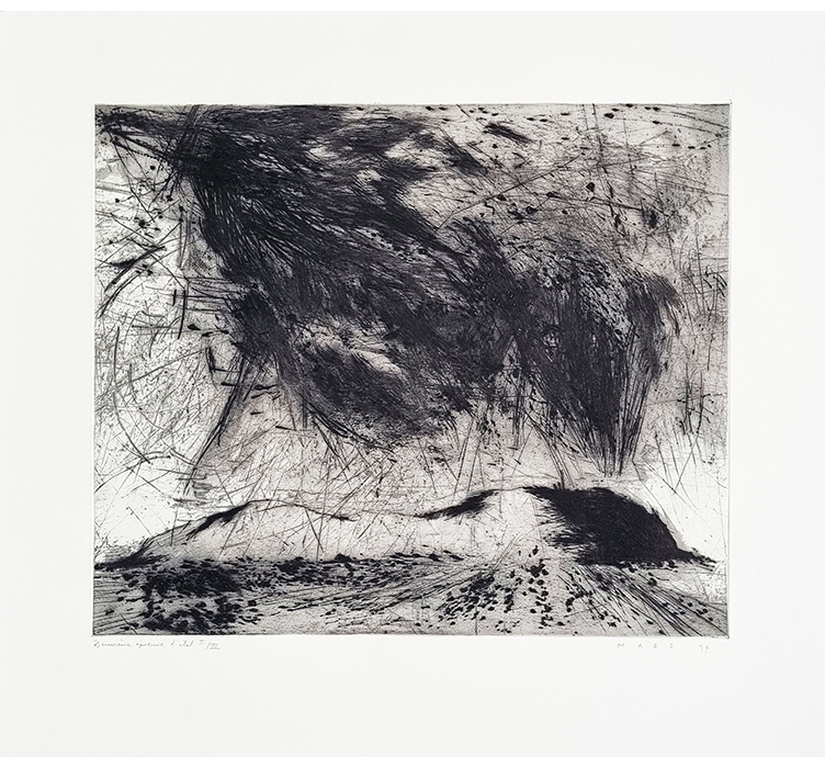 Pour Paul Celan (1994)