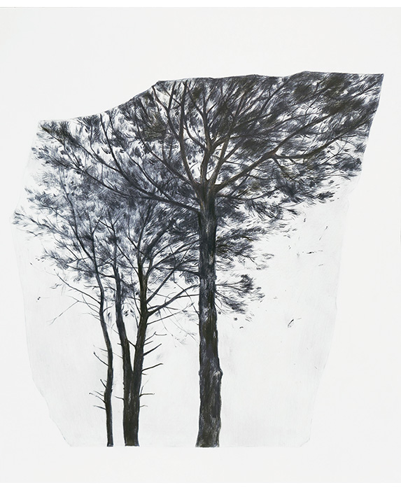 Amongst Pine Trees (Winter) (2023)