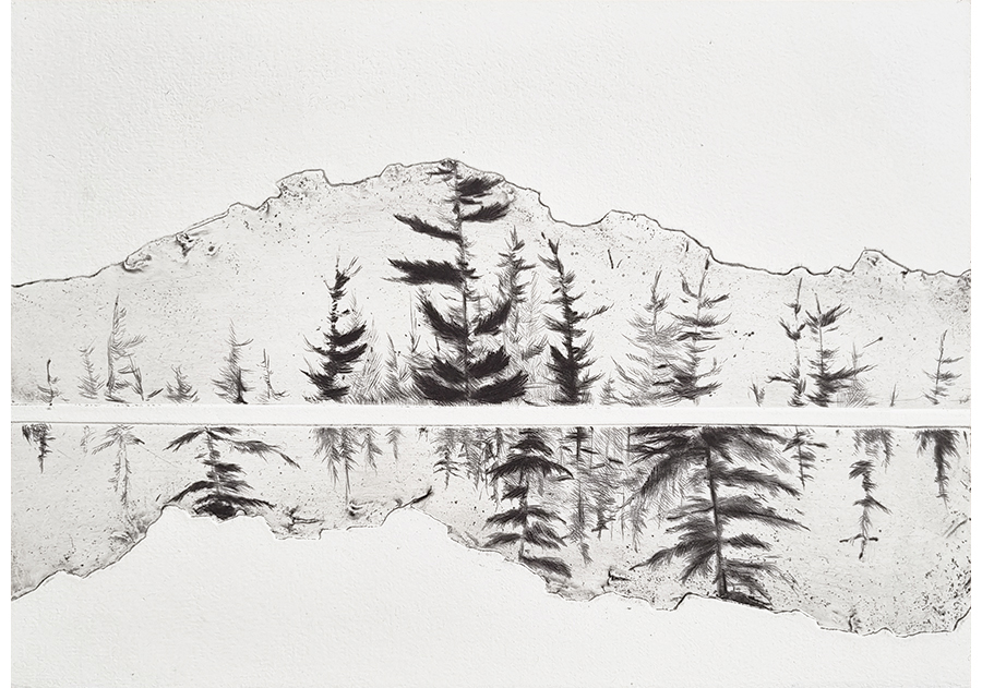 Pine Trees II (2021)