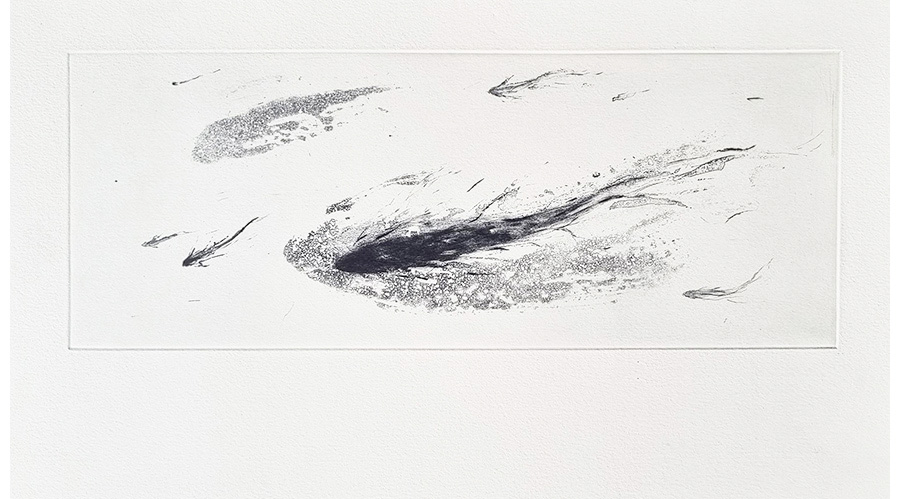 Miracle IV (2001)