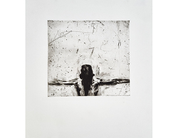 Homme aux bras (1992)