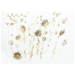 Sunflowers / Tournesols / Girasoles (2004)
