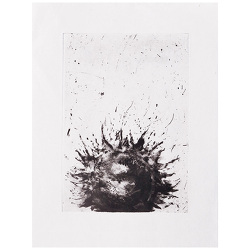 Sunflower / Tournesol / Girasol (2004)