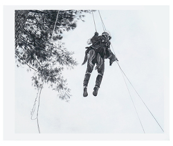 Exercice cynotechnique (2023)