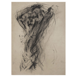 Life drawing / dessin d'après modèle vivant / dibujo de modelo vivo (1984)