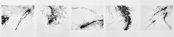 Miraculous Draught (2013) (pentaptych)