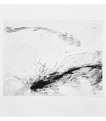 Miraculous Draught III (2013)