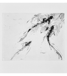 Miraculous Draught V (2013)
