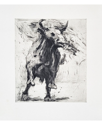 Corrida II (1991)