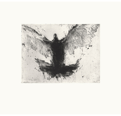 Paloma III (2007)