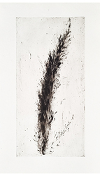 Cyprès (2006)