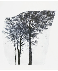 Amongst Pine Trees (Winter) (2023)