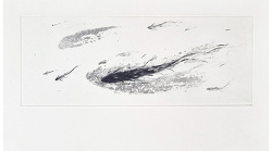 Miracle IV (2001)