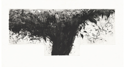 Under the Tree V / Sous l'arbre V / Abajo el árbol V (2004)